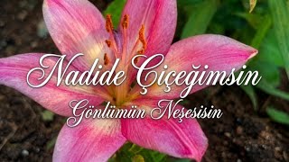 🌼 Nadide Çiçeğimsin ❤️ Duygusal Aşk Şarkısı En Güzel Sevda Türküsü Echo Ritim