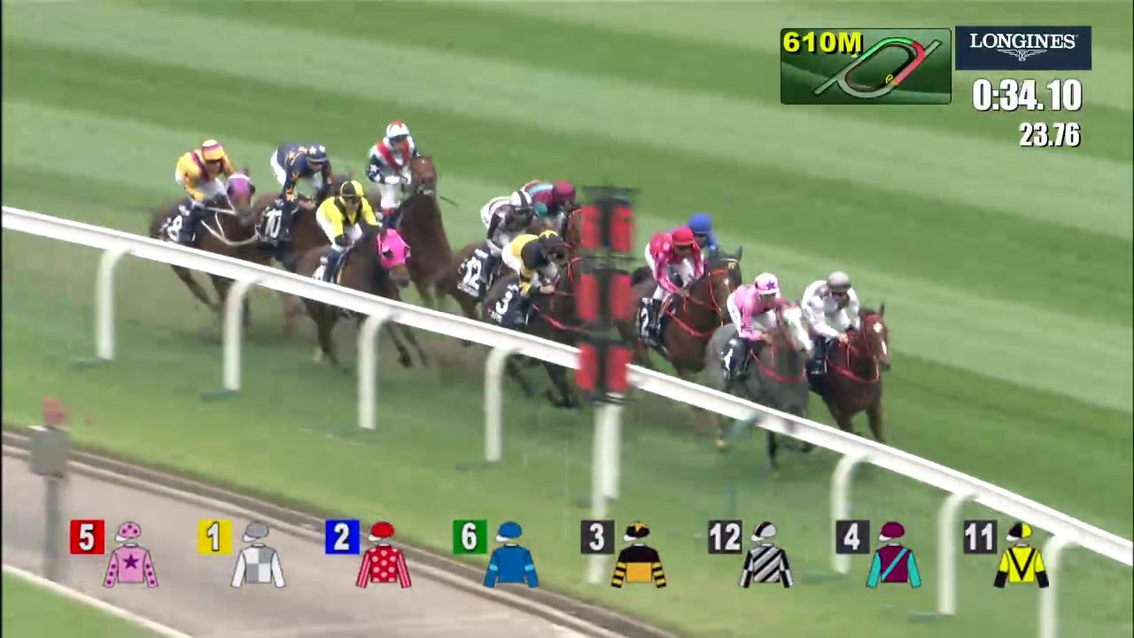 longines sprint
