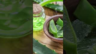 Topical Skin Infection Herbal Preparation