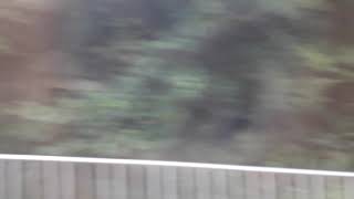 [TRA] DR3100 (Unknown) passing by Ruifang District