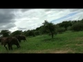 Op safari in tanzania