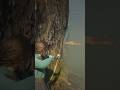 She Used a CRAZY Fishing Trick in RDR2… I Can’t Believe It! #shorts #gaming #viral