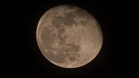 Moving the Primary Mirror of a TAL-1 Newtonian Reflector Telescope
