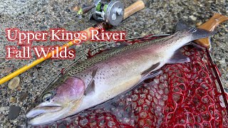 Upper Kings River, Fall wild trout action, BFS Lure Fishing [4K60 HDR]