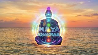 Chakras, Soy Pulya