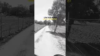 life feels better #shortvideo #villagelife #video #viralshorts #shortsfeed #shortsyoutube #shorts