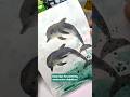 Easy Tips for Painting Watercolour Dolphins | Watercolor Tips #paintingtips #painting #watercolor