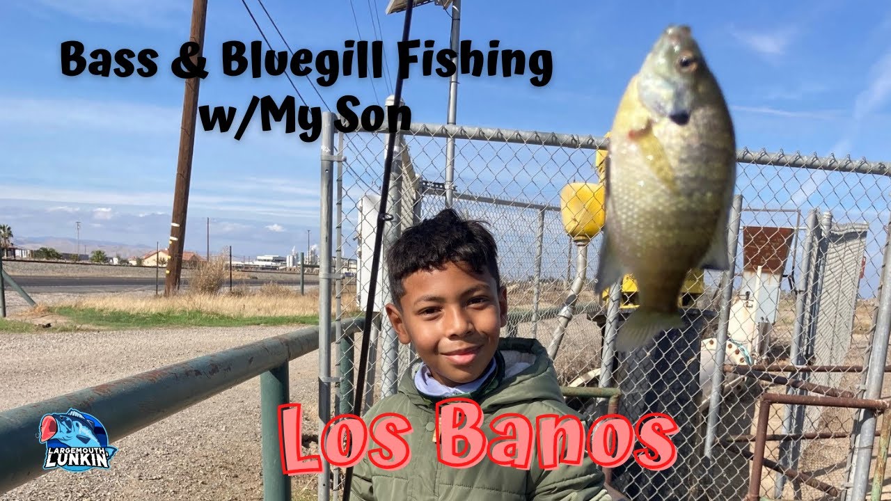 Bass & Bluegill fising with My Son in Los Banos!!!