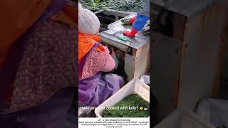 Kelp Shredding Machine – Turning Sea Vegetables into Fine Strips! 🌊🔪