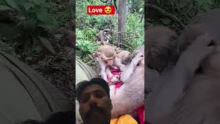 monkey 🙊 love 😍 #greenscreen #funnypranks #funny #prankvideo #dontlaught #comedy #dance