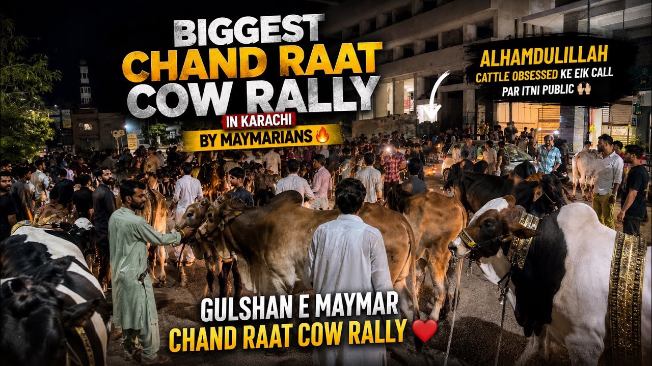 BIGGEST CHAND RAAT COW RALLY OF GULSHAN E MAYMAR 🔥| CAMEL GONE OUT OF ...