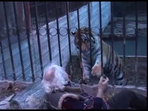 ვეფხვი სალიმა \"ნასვამ\" მსახიობს ეთამაშება 2011