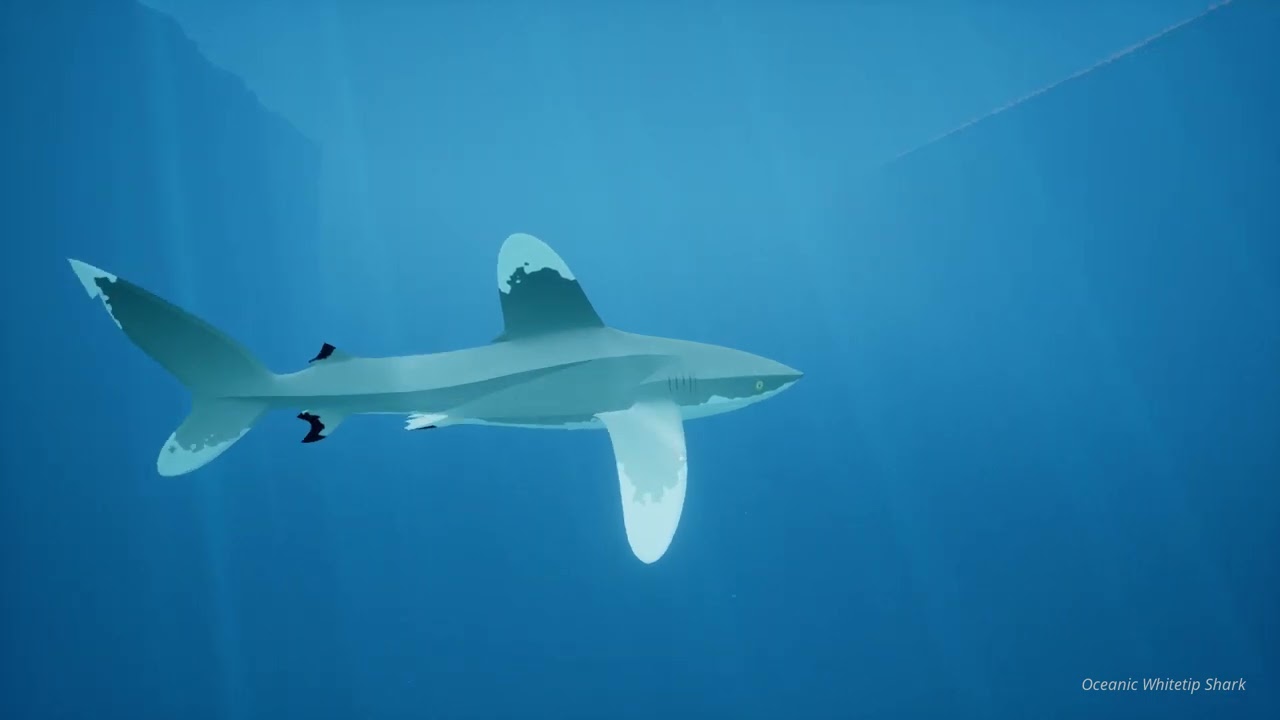 Potyok bulingit RMN DRAMA Part 13