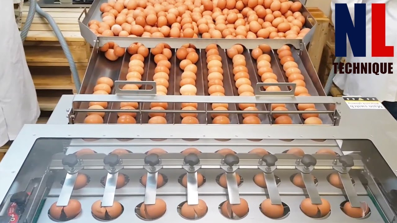 Современные технологии обработки пищевых продуктов, которые находятся на другом уровне Часть 3