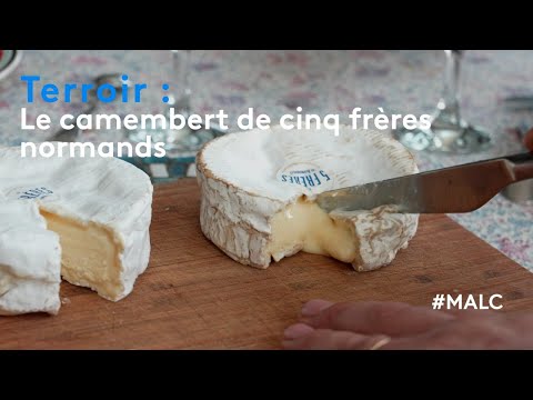 Terroir Camembert From Five Norman Brothers