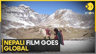 Download Lagu Berlinale 2024: Nepali film 'Shambhala' to compete at Berlin festival | World News | WION MP3 Download Lagu Berlinale 2024: Nepali film 'Shambhala' to compete at Berlin festival | World News | WION MP3