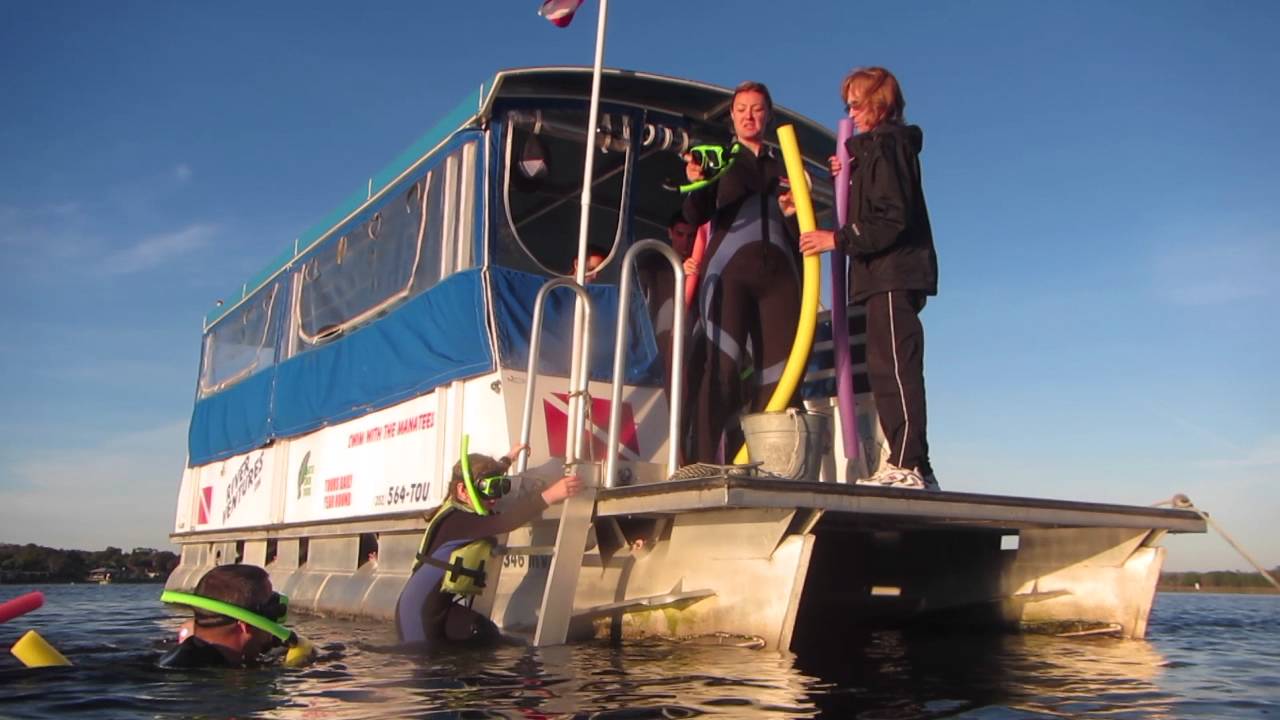 River Ventures Swim & Snorkel with Manatees Crystal River River Ventures Swim & Snorkel with Manatees Crystal River