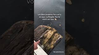 Manaus Amazonas #foryou #amazonas #fy #fypシ゚vira #fun #fyp #viral #shortsfeed #shorts #short #fypp