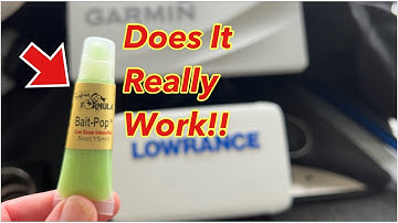 Bait Pop Review | Forward Facing Sonar