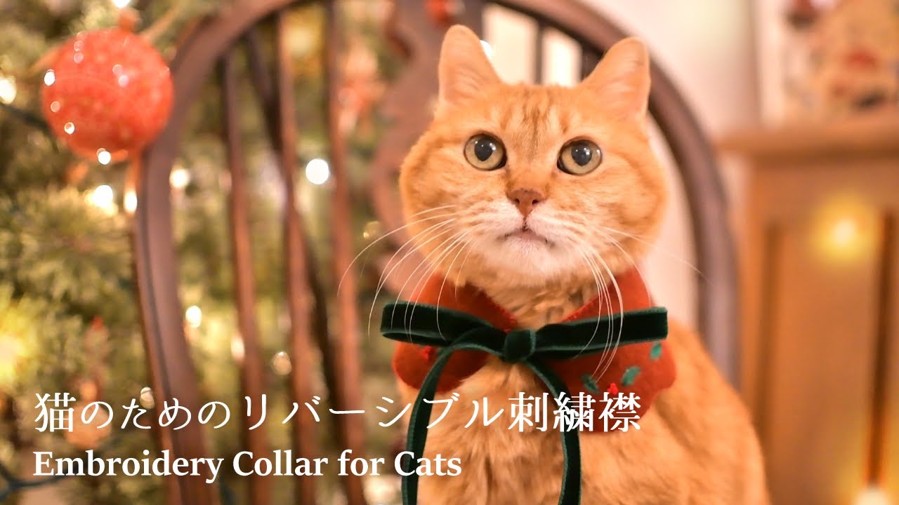 猫のためのリバーシブル刺繍襟 Embroidery Collar for Cats - YouTube