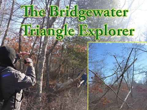 Bridgewater Triangle: Mysterious Growl (03/01/20)