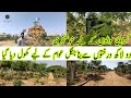 Kidney Hill forest||Karachi urban forest||kidney Hill Plantation||Clifton Urban forest