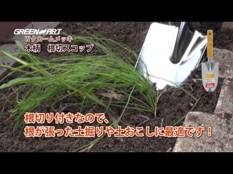 動画