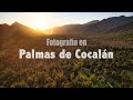 Fotografía en las Palmas de Cocalán