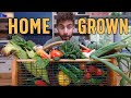 How I Became Self Sufficient in 3 Years (almost*)