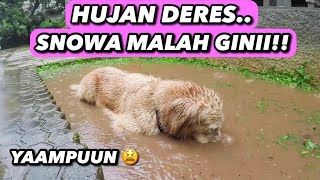 SNOWA NYEMPLUNG AIR TANAH! BADUNG BGT NI ANAK 😭