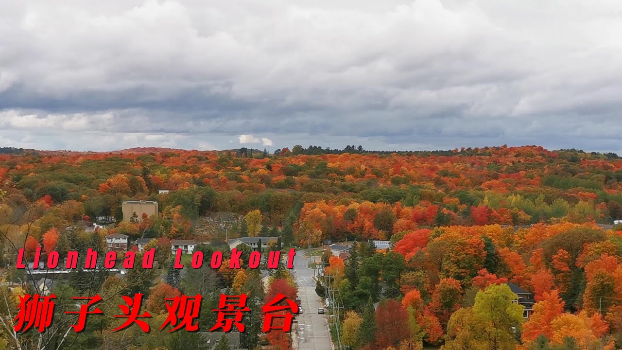 Lions Lookout YouTube Lions Lookout YouTube