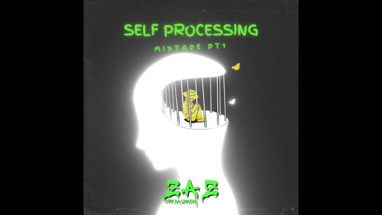 [FREE MIXTAPE] Z.A.Z - Self Processing Pt1
