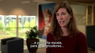 Mejora de las técnicas de gestión del agua en el sector bananero - RECAR BA (ES)