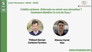 Crédits Carbone Eldorado Ou Miroir Aux Alouettes ? Comment Démêler Le Vrai Du Faux ?