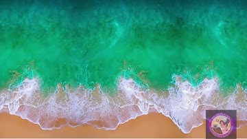 Tin học bài 2: em tập gõ hàng phím cơ sở