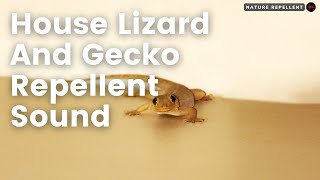 Gecko Repellent Sound || Suara pengusir cicak/tokek