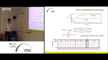 Structures and dynamics in neural networks organized through spike timing-dependent plasticity
