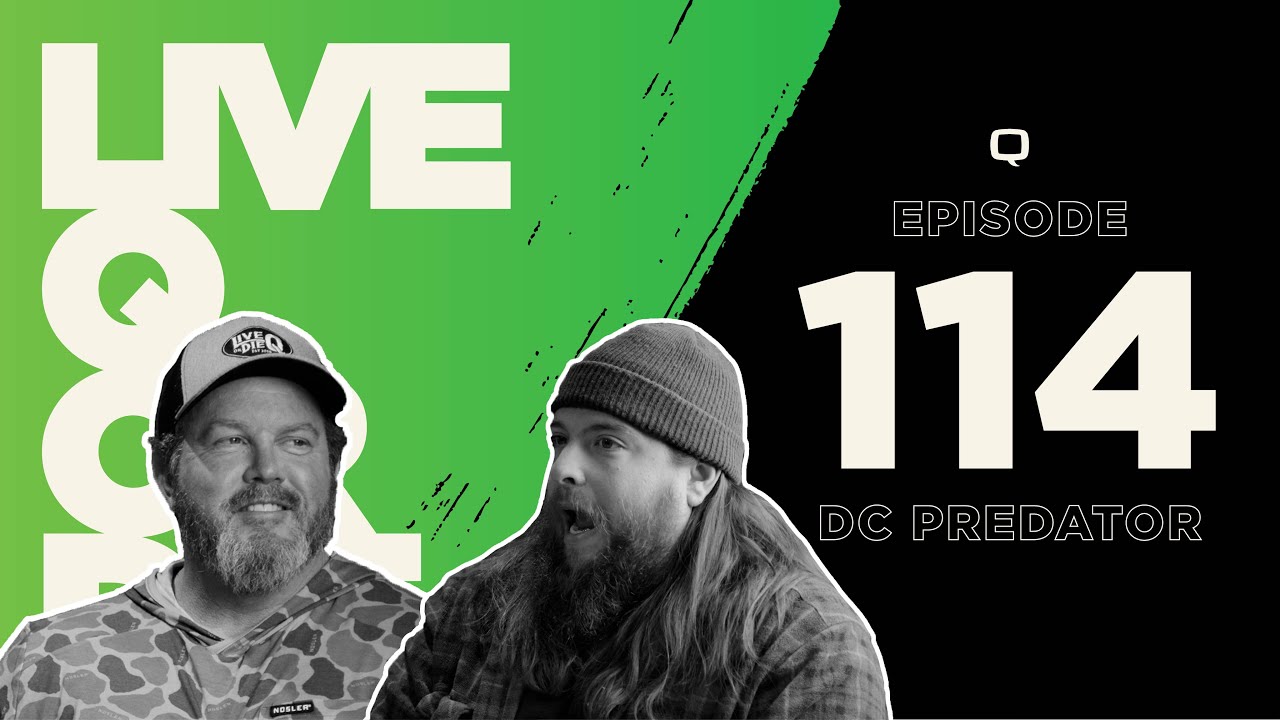 Q  |  Live Q or Die Podcast  | DC Predator