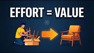 Why You Love Things You Build (The IKEA Effect Explained)