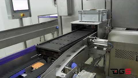 DGS Processing Solutions - Bakery Robot Line
