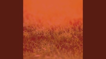 Subdued Ambience for Deep Focus