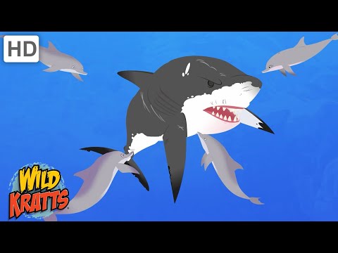 Creature Battles! | Every Creature Showdown Part 11| Wild Kratts