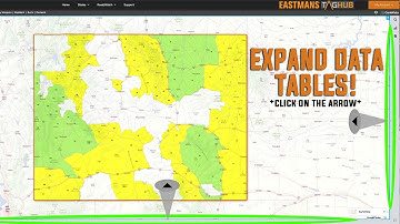 BIGGER MAPS! How to Hide Tables and Charts on Eastmans