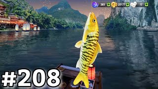 New Fish: Yangtze Golden Tiger - Fishing Clash Gameplay Ep208 screenshot 3