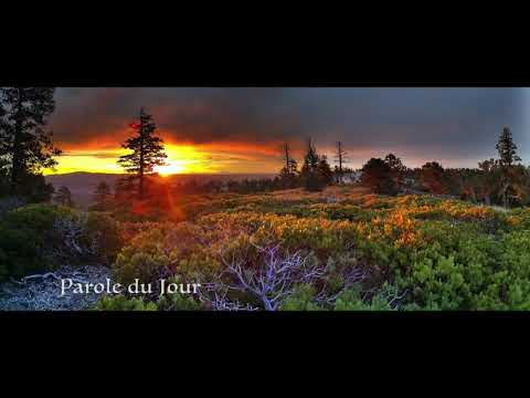 Écoute-:-parole-et-Évangile-chaque-jour-|-jeudi-30-janvier