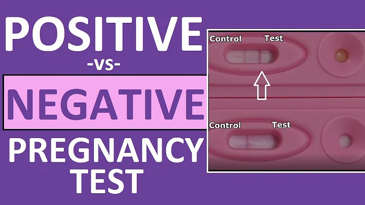 Pregnancy Test: Positive vs Negative Results Time ...