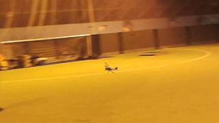 Mike Hadland Peanut Jungmann Shawbury Oct 2014