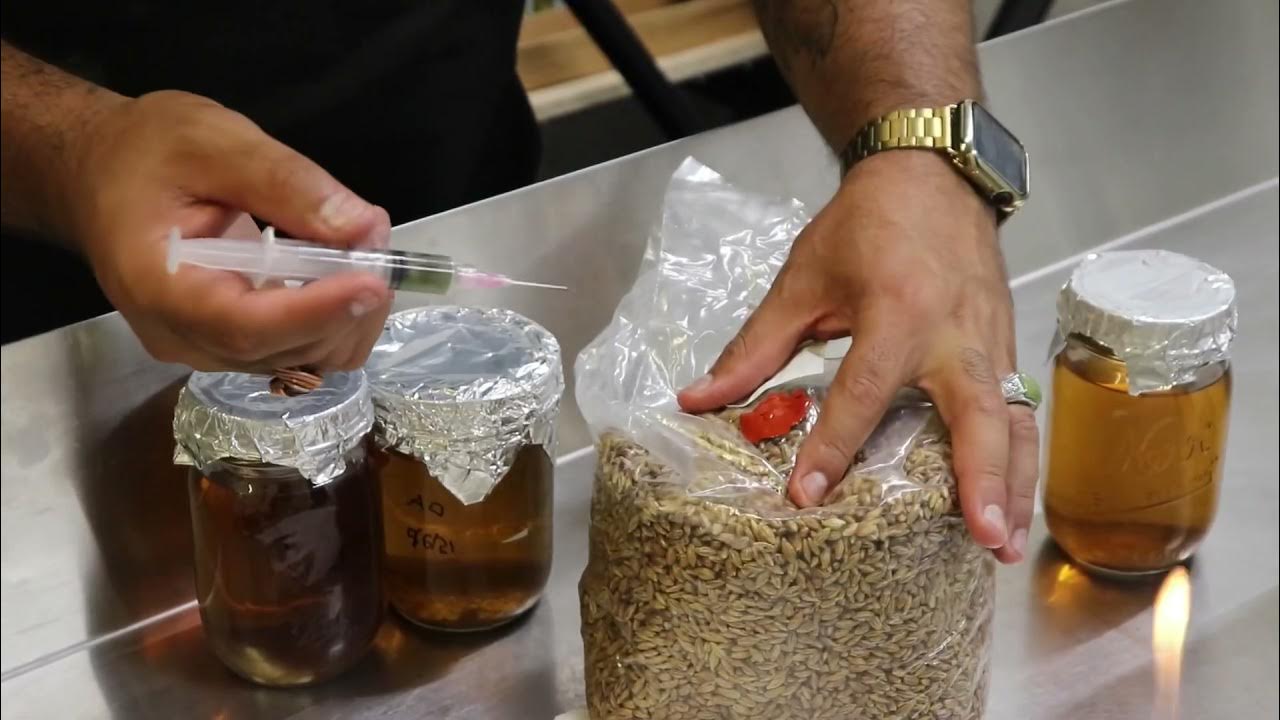 How to inoculate spawn bags and liquid culture. YouTube