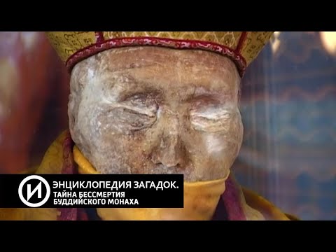 Видео: Улаан түрс: жор