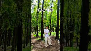 Eight Exercises movements (1) #health #kungfu #stretching #exercise #wellness #fitness #movement